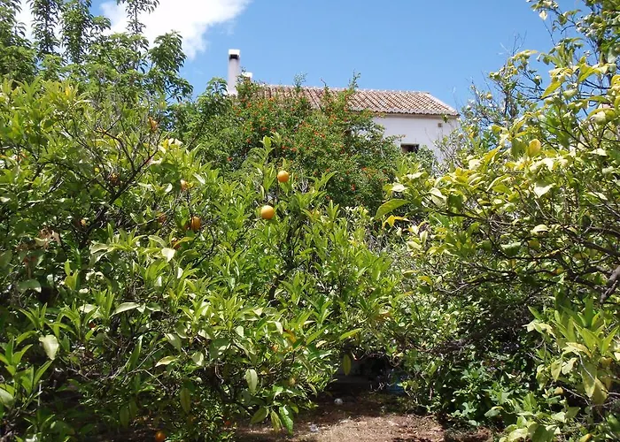Casa De La Fuente