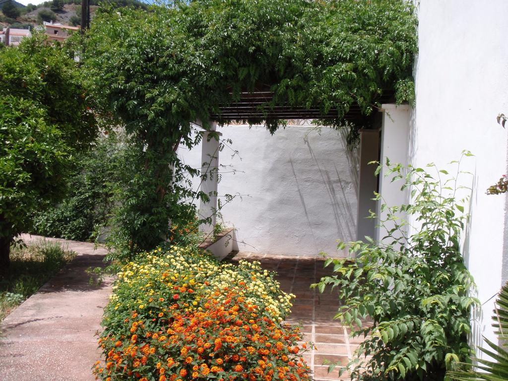 Apartment Casa De La Fuente Tolox